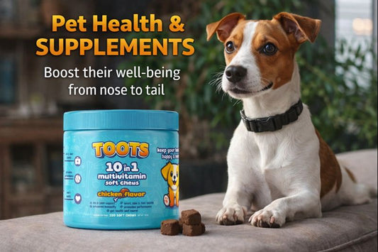 TOOTS 10-in-1 Multivitamin for Dogs – 120ct Chicken Flavor Soft Chews